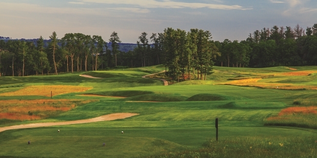 Lawsonia Links