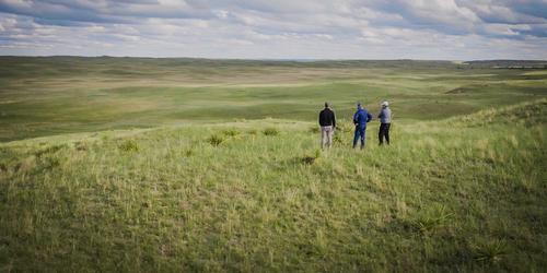 Dormie Network announces David McLay Kidd as course architect for new course, GrayBull
