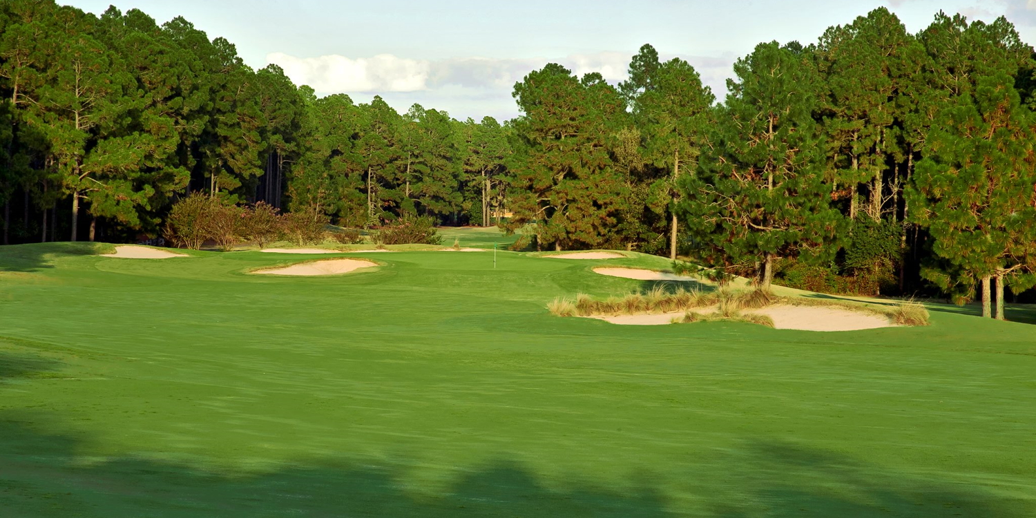 Foxfire Resort - Grey Fox