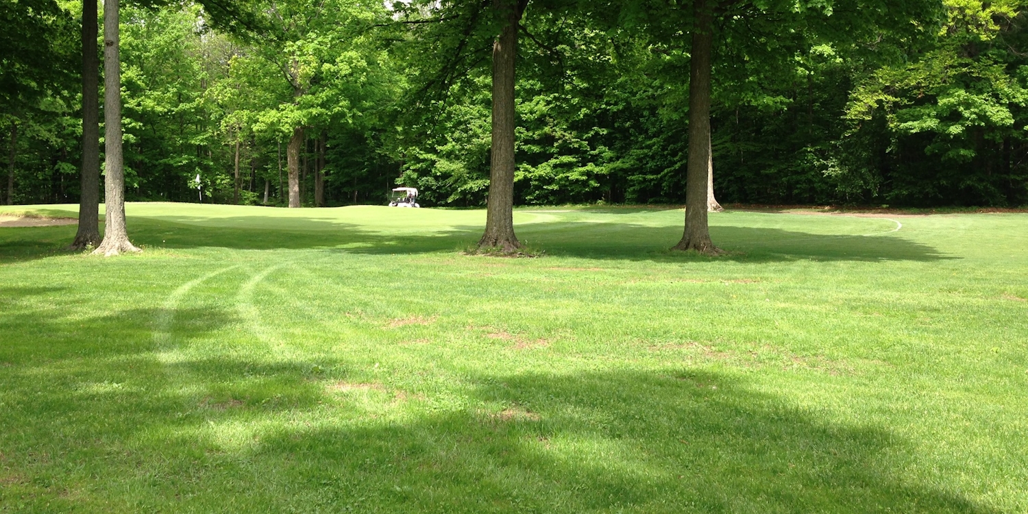 Ledge Meadows Golf Course