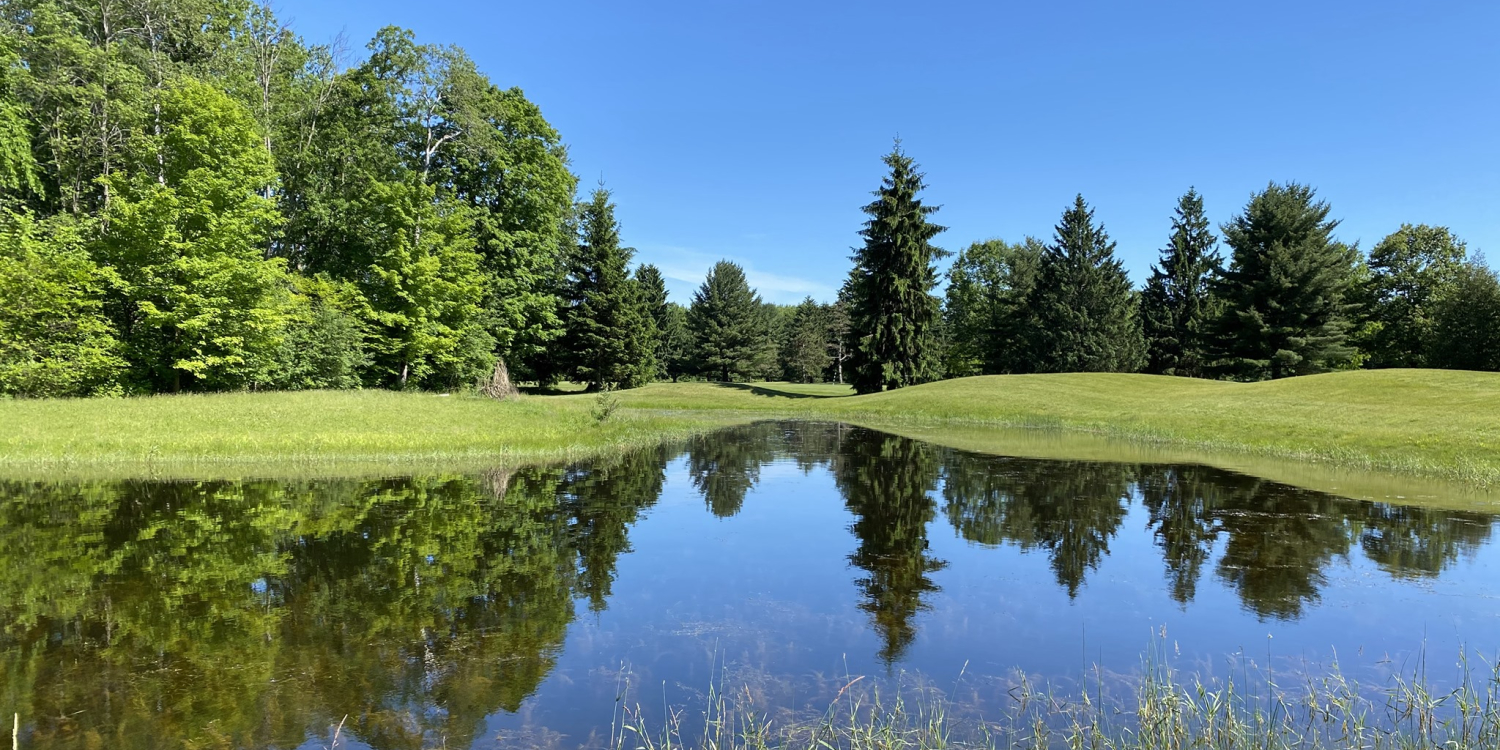 Riverwood Resort