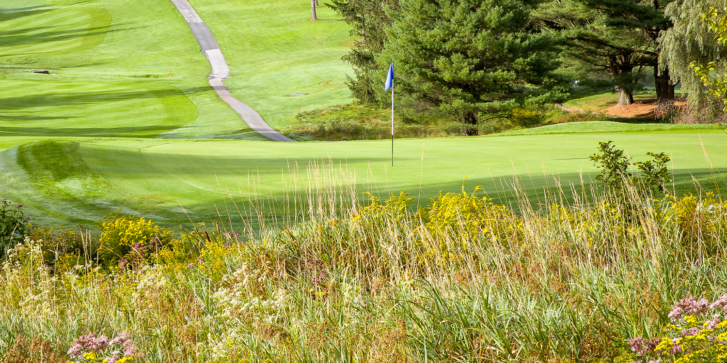 Stowe Country Club
